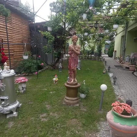 Casa Elena Sighisoara