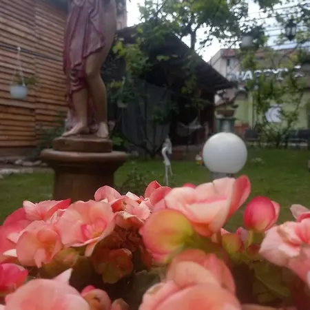 Homestay Casa Elena *